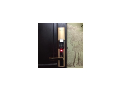 Lắp khóa vân tay Dessmann S510 Gold Quận Tân Bình, Tp.hcm
