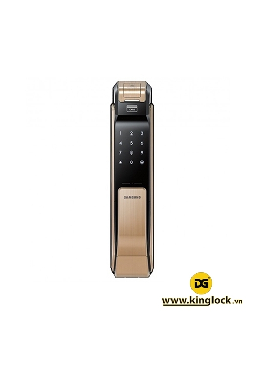 Samsung SHS-P718 Gold