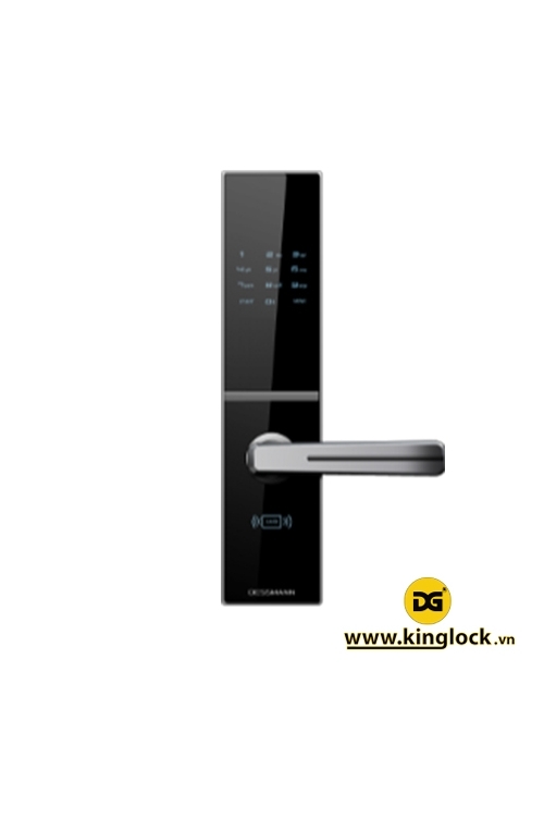 Khóa điện tử Dessmann C800