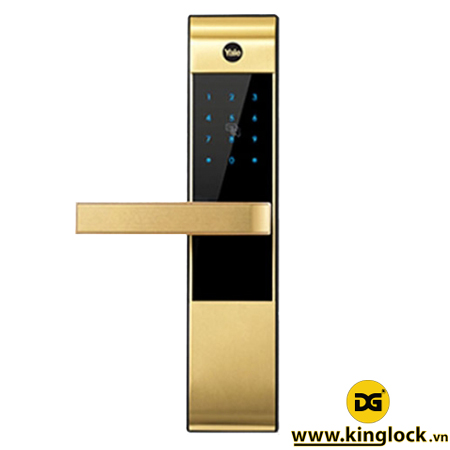 YALE YDM 3109 GOLD