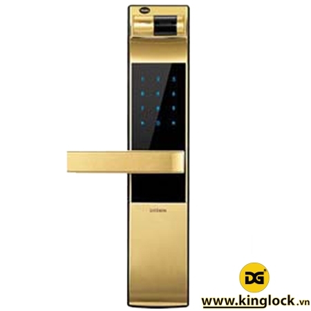 YALE YDM 4109 GOLD