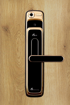 Gateman G500 (Gold )
