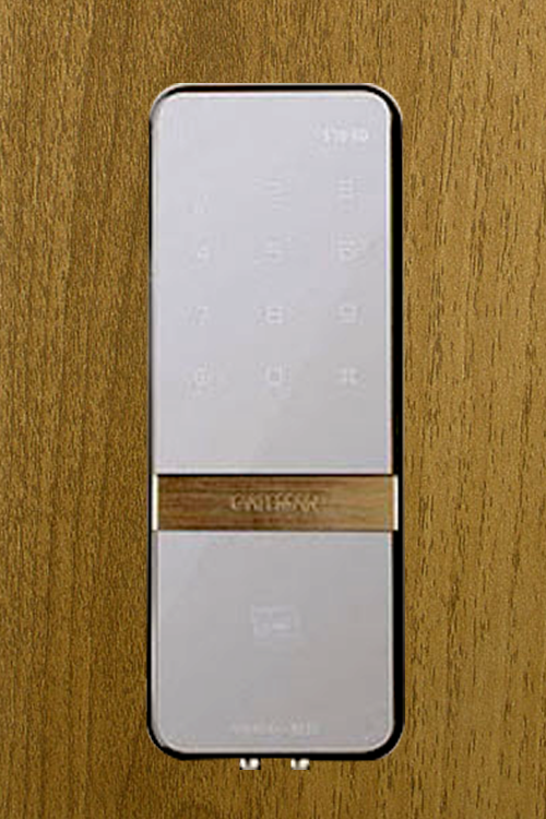 Gateman Shine-S