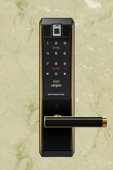 Khóa cửa vân tay Locpro K300CG4F