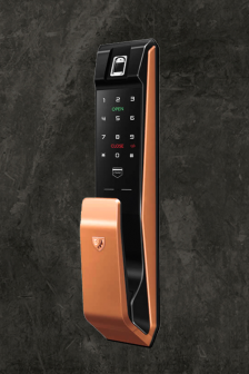 Khóa cửa vân tay Locpro K500F