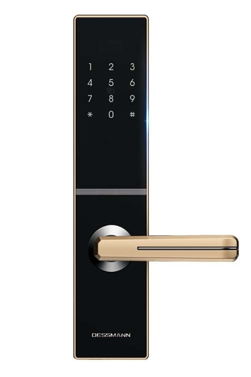 Khóa điện tử Dessmann C800-II