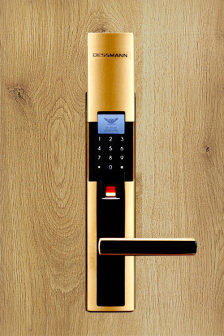 Khóa điện tử Dessmann S510-II