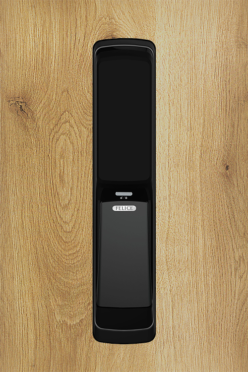 Khóa điện tử LOGHOME FELICE-F-SKN