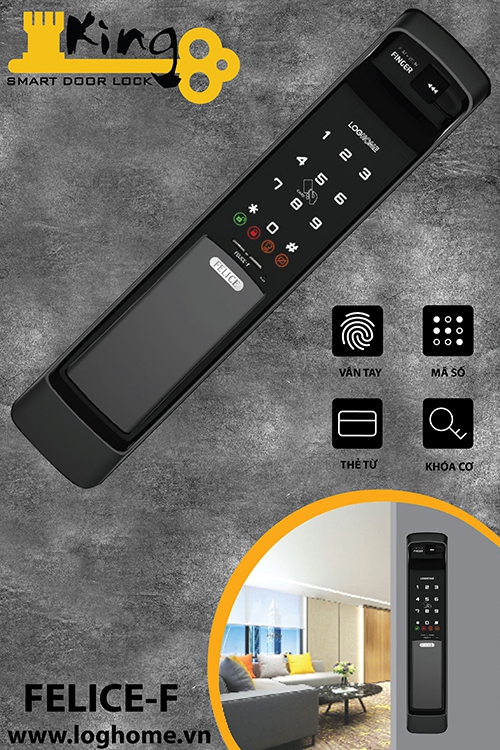 Khóa điện tử LOGHOME FELICE-F-SKN