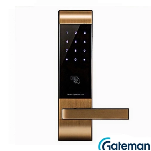 Khóa thẻ từ Gateman V300-FH