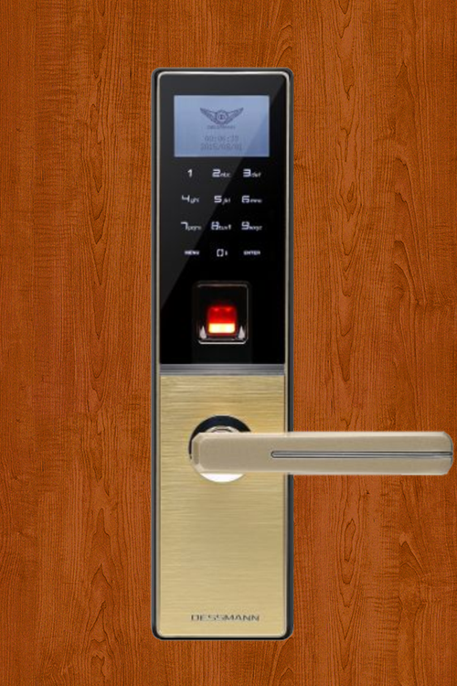 Khóa vân tay Dessmann G810FP Gold