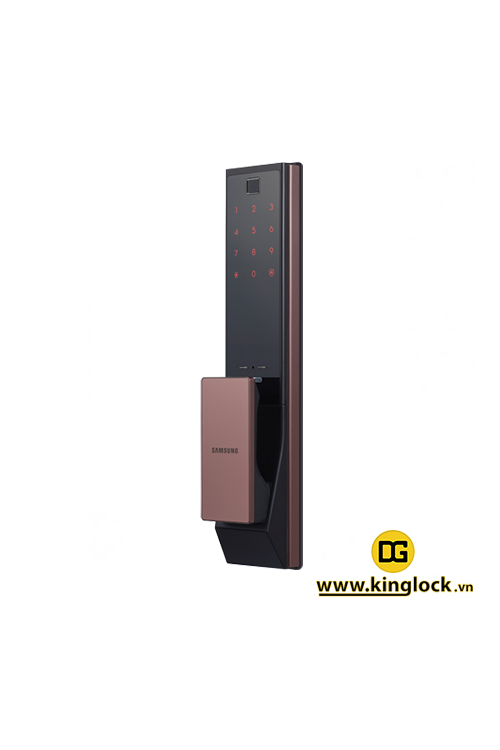 Khóa Cửa Vân Tay Samsung SHP-DP738