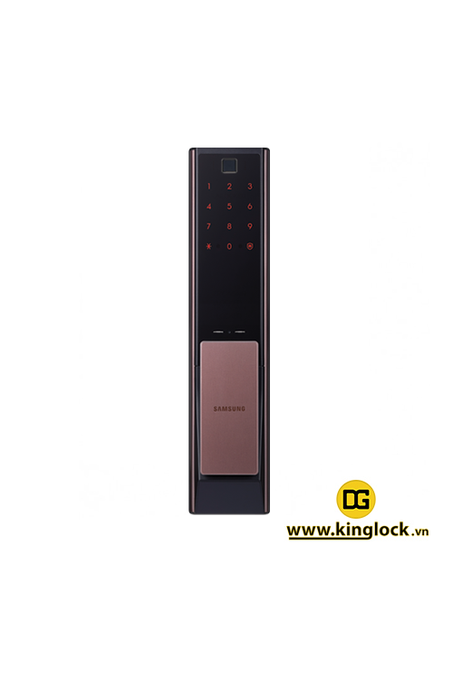 Khóa Cửa Vân Tay Samsung SHP-DP738