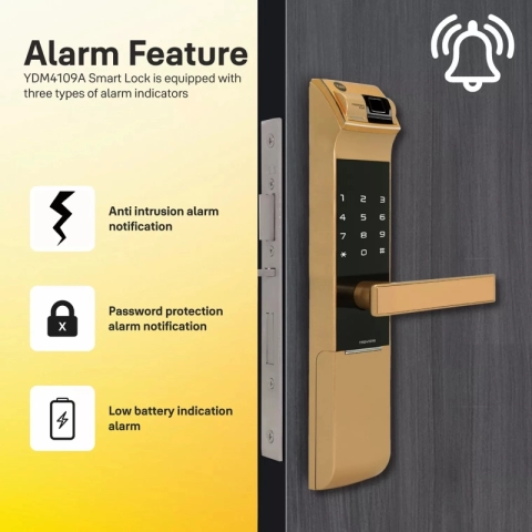 YALE YDM 4109 GOLD