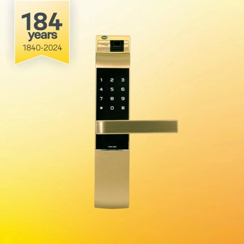YALE YDM 4109 GOLD